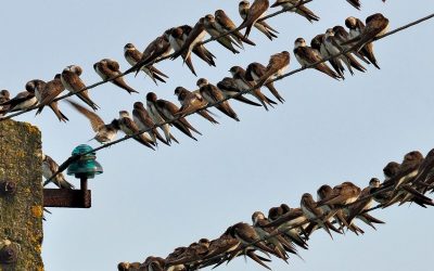 Por qué pienso que un proceso de coaching es una buena idea (especialmente para la clase política)