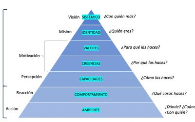 La pirámide de los Niveles Neurológicos
