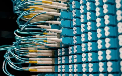 Fundamentos de la mirada sistémica aplicada a la empresa